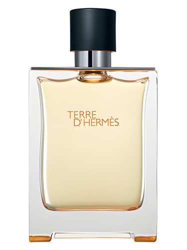 Terre d'Hermes by Hermes