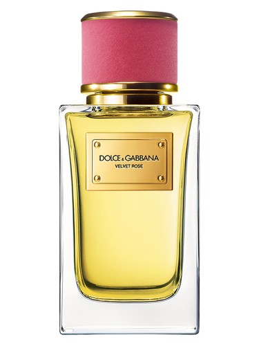 Dolce & Gabbana Velvet Rose