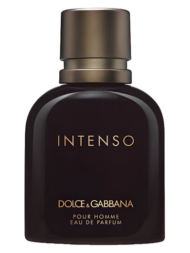 Dolce & Gabbana Pour Homme Intenso