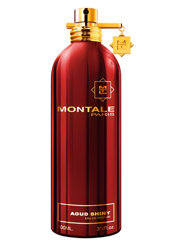 Aoud Shiny by Montale