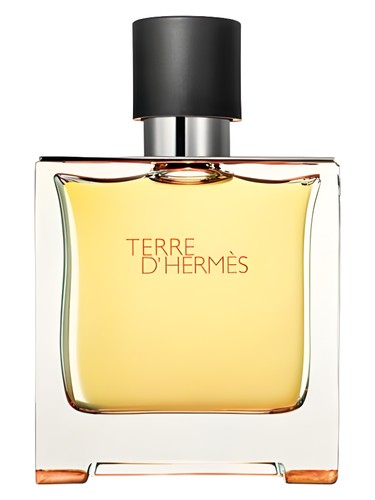 Terre d'Hermes by Hermes